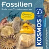 Fossilien