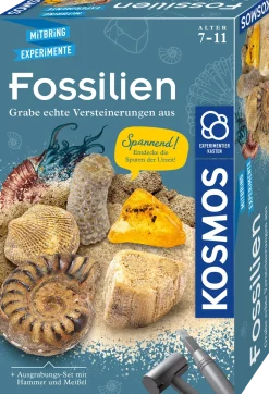 Fossilien