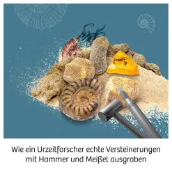 Fossilien