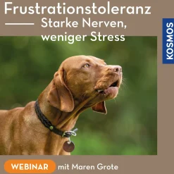 Frustrationstoleranz – starke Nerven, weniger Stress