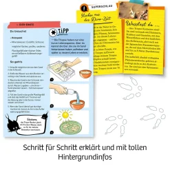 Fun Science Triops züchten
