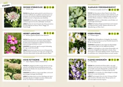 Garten - einfach günstig