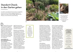 Garten - einfach günstig
