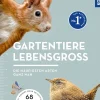 Gartentiere lebensgroß
