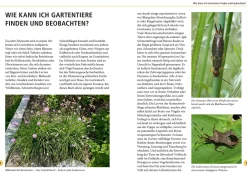 Gartentiere lebensgroß