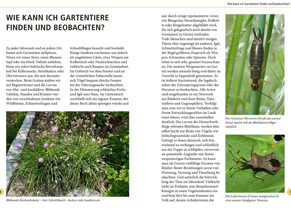 Gartentiere lebensgroß