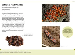 Gartentiere lebensgroß