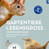 Gartentiere lebensgroß