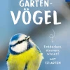 Gartenvögel