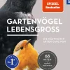 Gartenvögel lebensgroß