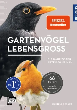 Gartenvögel lebensgroß