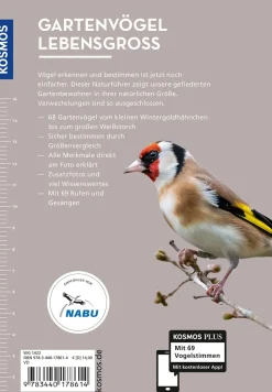 Gartenvögel lebensgroß