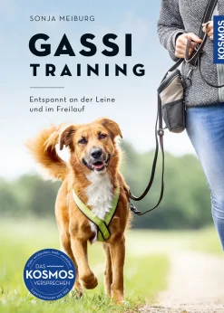 Gassi-Training