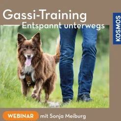 Gassi-Training – Entspannt unterwegs