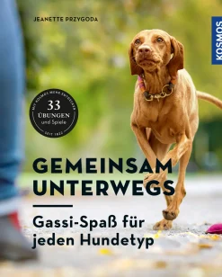 Gemeinsam unterwegs