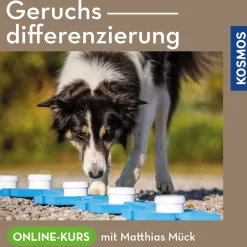 Geruchsdifferenzierung
