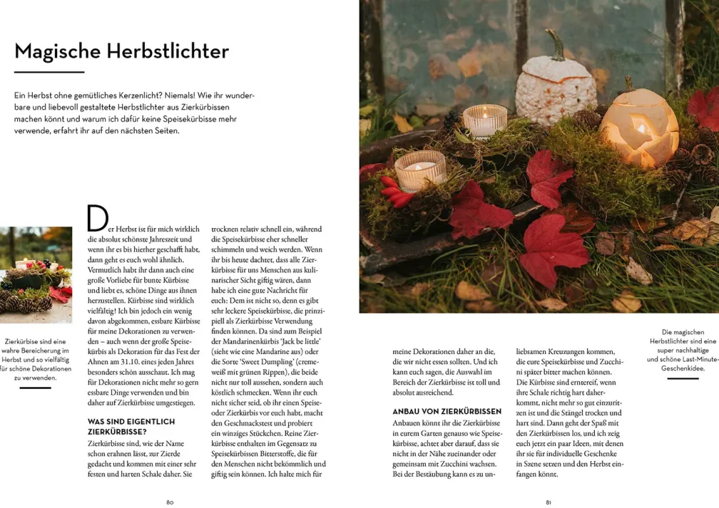 Geschenke pflanzen