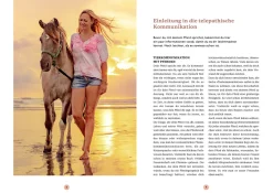 Gespräche mit deinem Pferd