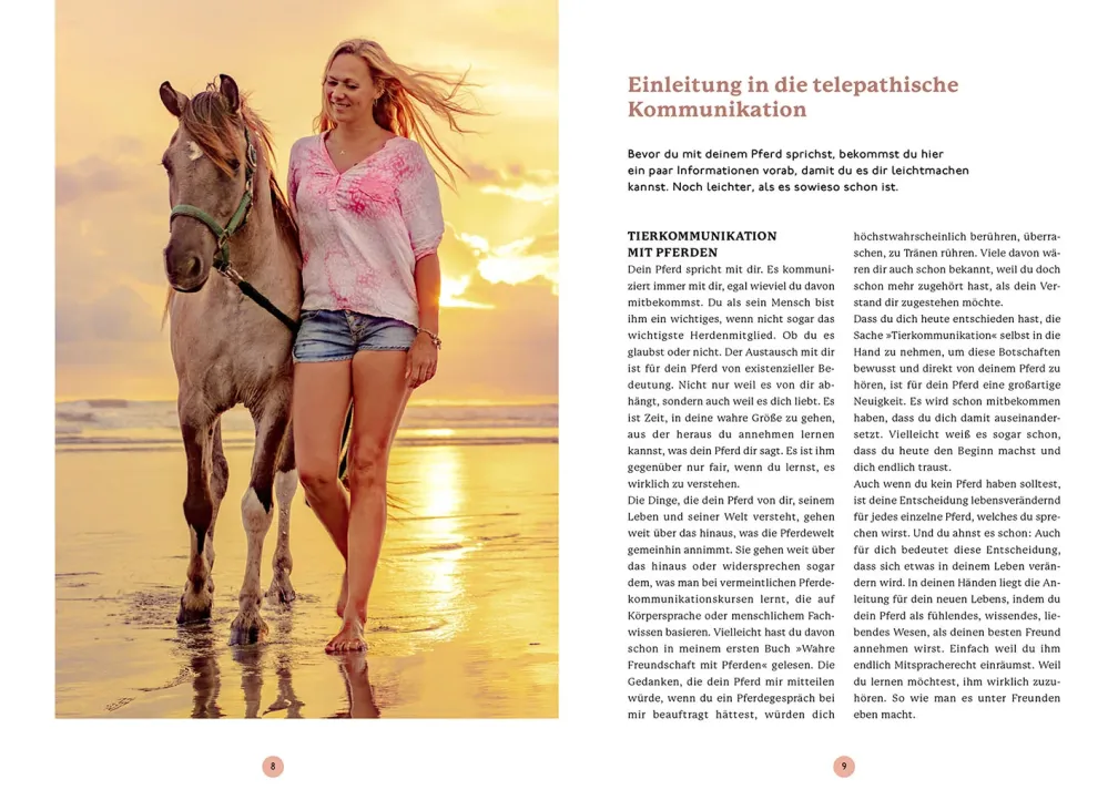 Gespräche mit deinem Pferd