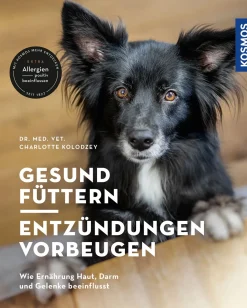 Gesund füttern - Entzündungen vorbeugen