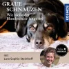 Graue Schnauzen - wie bleibt der Hundesenior lange fit?