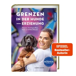 Grenzen in der Hundeerziehung