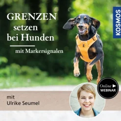 Grenzen setzen bei Hunden – mit Markersignalen