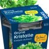 Grüne Kristalle