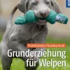 Grunderziehung für Welpen