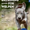Grunderziehung für Welpen