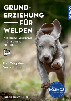 Grunderziehung für Welpen