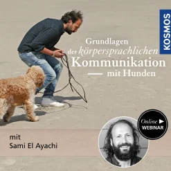 Grundlagen der körpersprachlichen Kommunikation mit Hunden