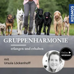 Gruppenharmonie erlangen und erhalten
