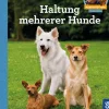 Haltung mehrerer Hunde