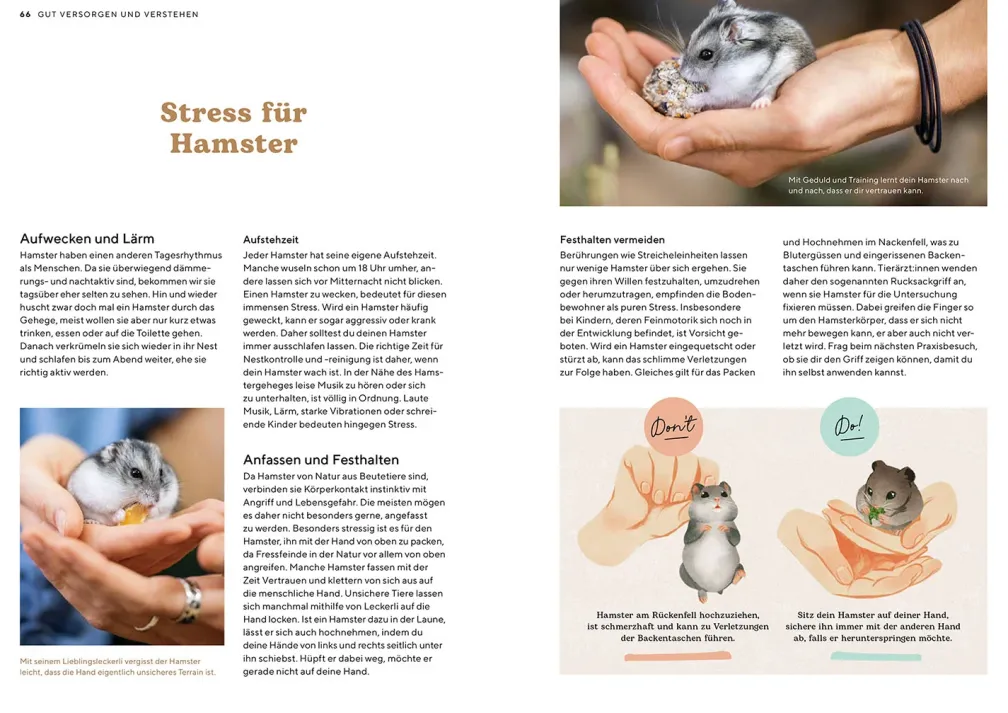 Hamster