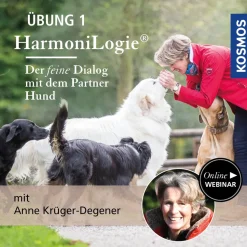 HarmoniLogie® ÜBUNG 1 - Der feine Dialog mit dem Partner Hund
