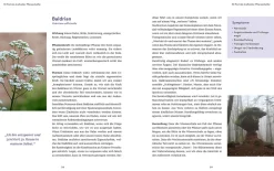Heilsame Essenzen für die Seele