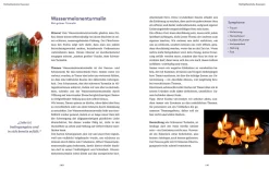 Heilsame Essenzen für die Seele