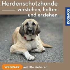 Herdenschutzhunde – verstehen, halten und erziehen