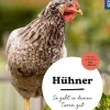 Hühner