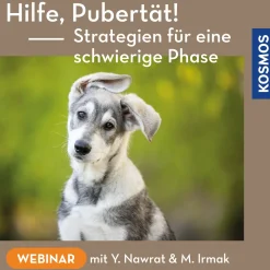 Hilfe, Pubertät! Strategien für eine schwierige Phase