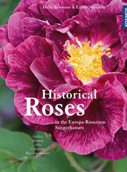 Historical Roses