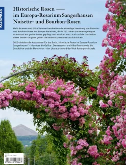 Historische Rosen im Europa Rosarium Sangerhausen: Noisette- und Bourbon-Rosen
