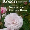 Historische Rosen im Europa Rosarium Sangerhausen: Noisette- und Bourbon-Rosen