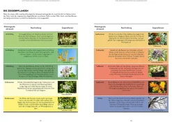 Hochbeet - Was mache ich wann?