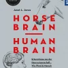 Horse Brain, Human Brain