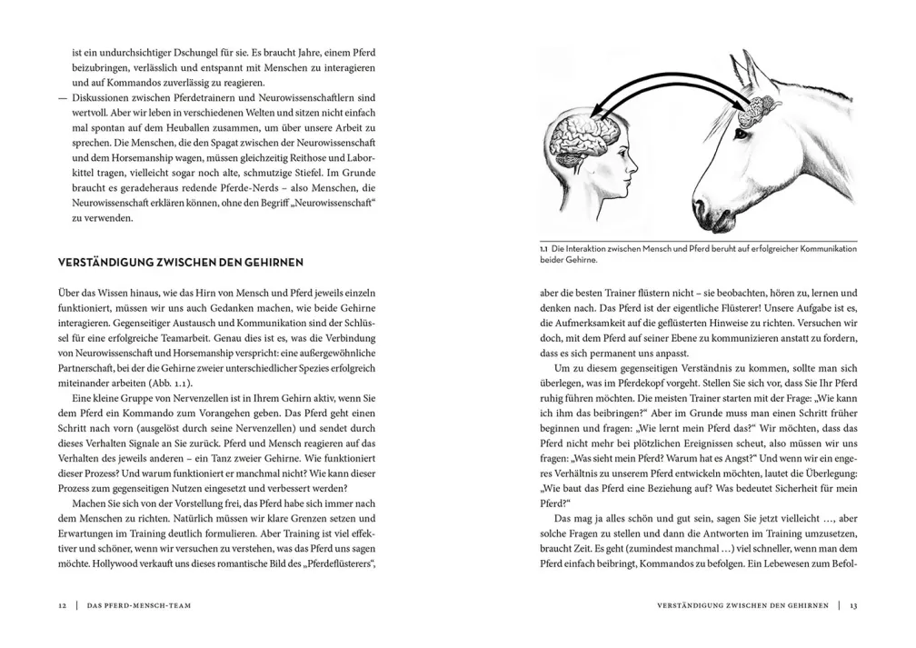 Horse Brain, Human Brain