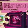 Horse Dream