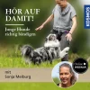 Hör auf damit! Junge Hunde richtig bändigen