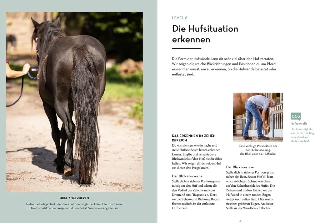 Hufe lesen